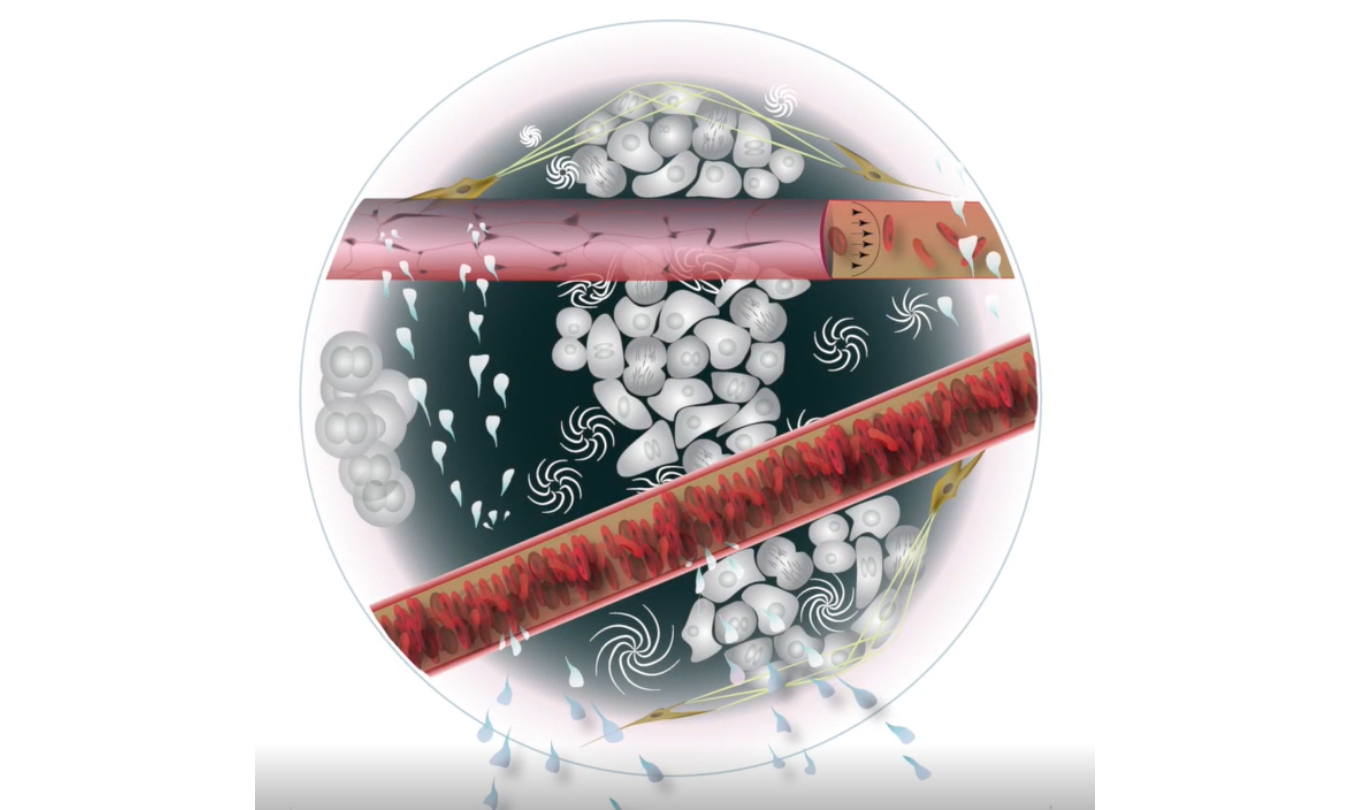 Drug delivery Drug delivery
