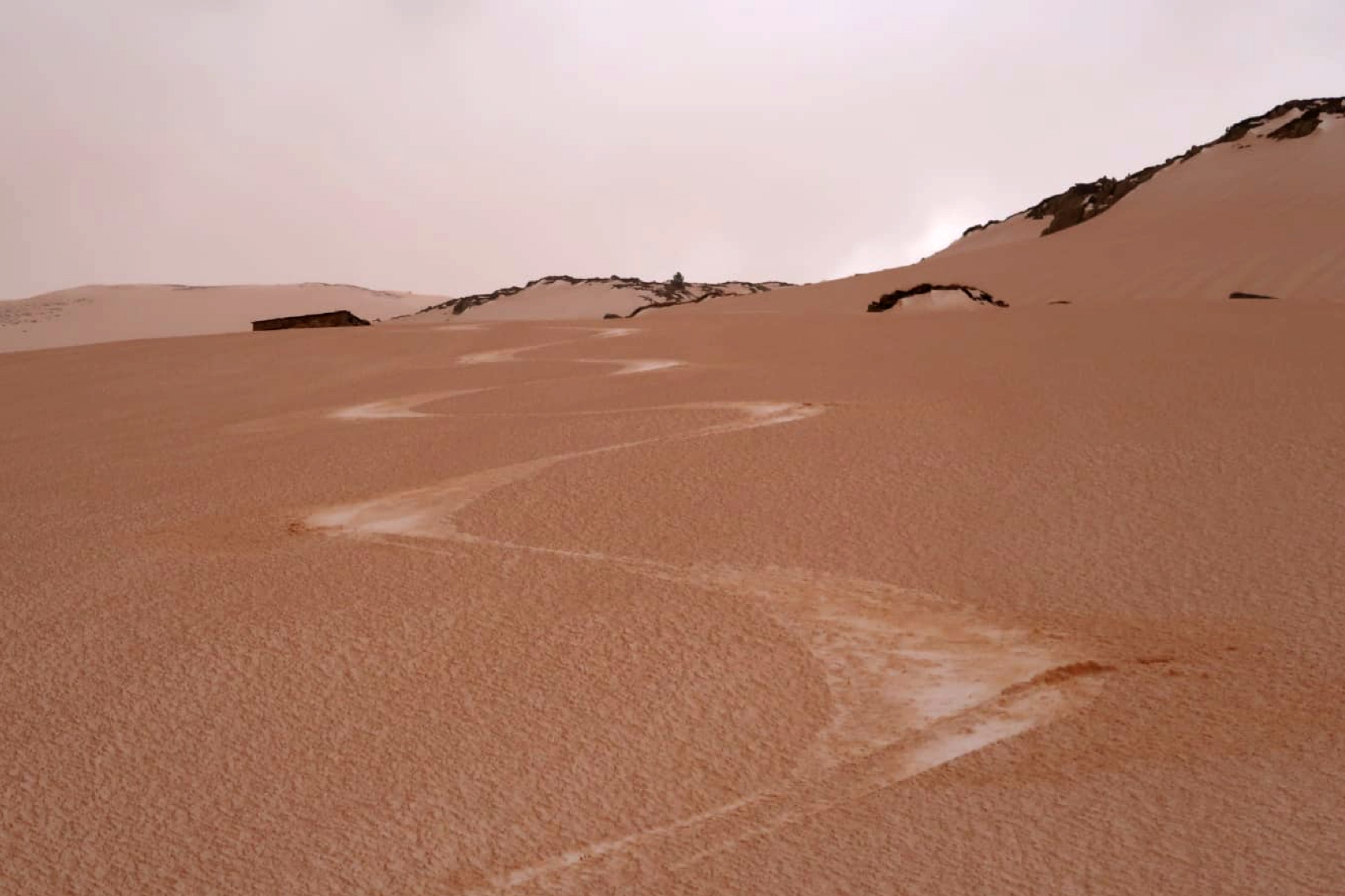 Quentin Libois/Orange snow in the Pyrenees, after the Saharan dust deposition events in February 2021 Quentin Libois/Orange snow in the Pyrenees, after the Saharan dust deposition events in February 2021